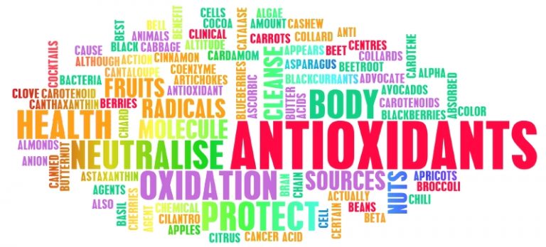 bienfaits-antioxydants