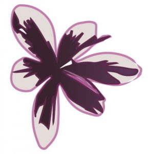 logo fleurs de soin