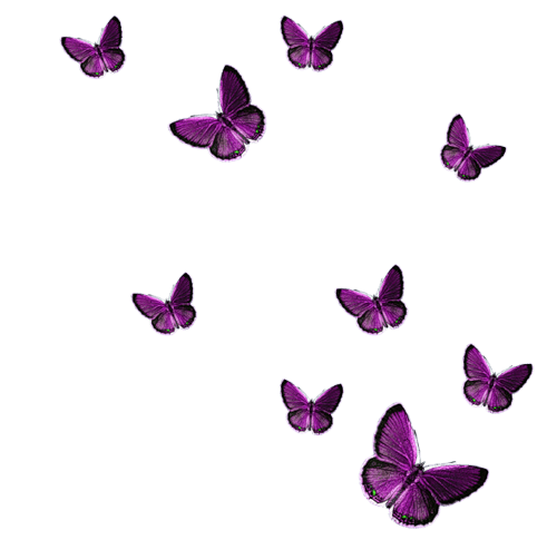 Papillon Png Estheticienne Castries