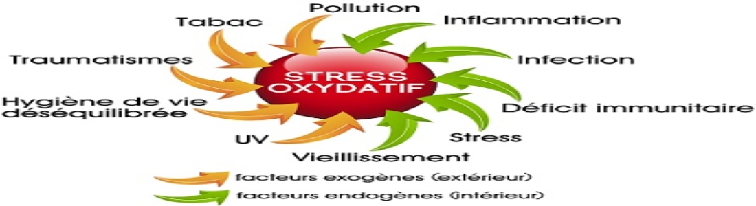 stress-oxydatif - esthéticienne castries